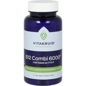 B12 Combi 6000