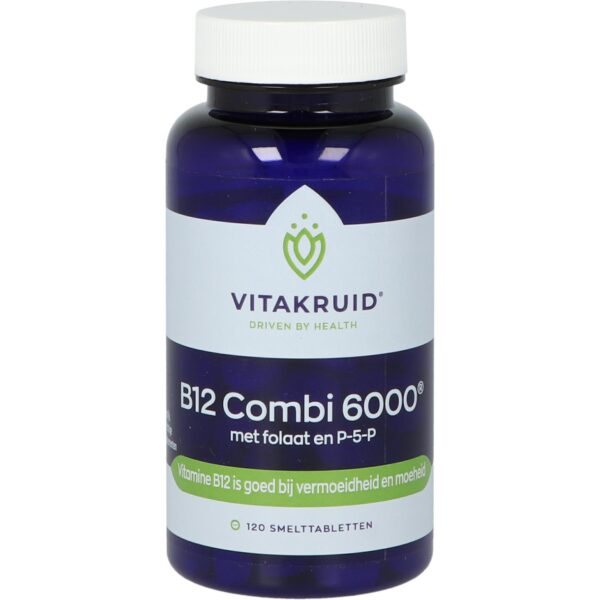 B12 Combi 6000