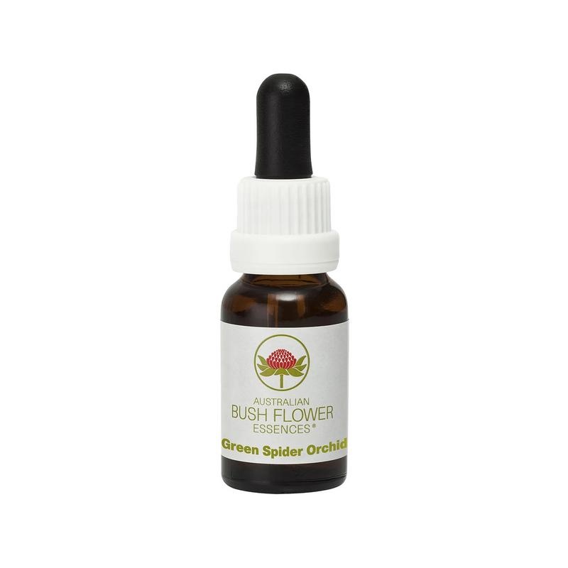 Australian Bush Green spider orchid 15 Milliliter 1 Australian Bush Green spider orchid 15 Milliliter