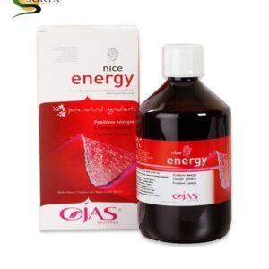 Ojas Nice energy 500 Milliliter
