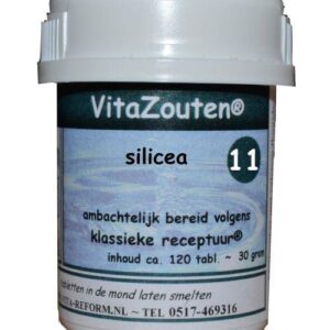 Vitazouten Silicea VitaZout Nr. 11 120 Tabletten