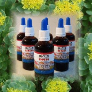 Dr B Rhodiola tinctuur 50 Milliliter