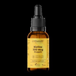 Biotine 500 mcg Druppels