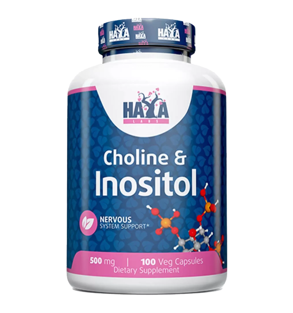 haya labs choline inositol 500mg 100caps