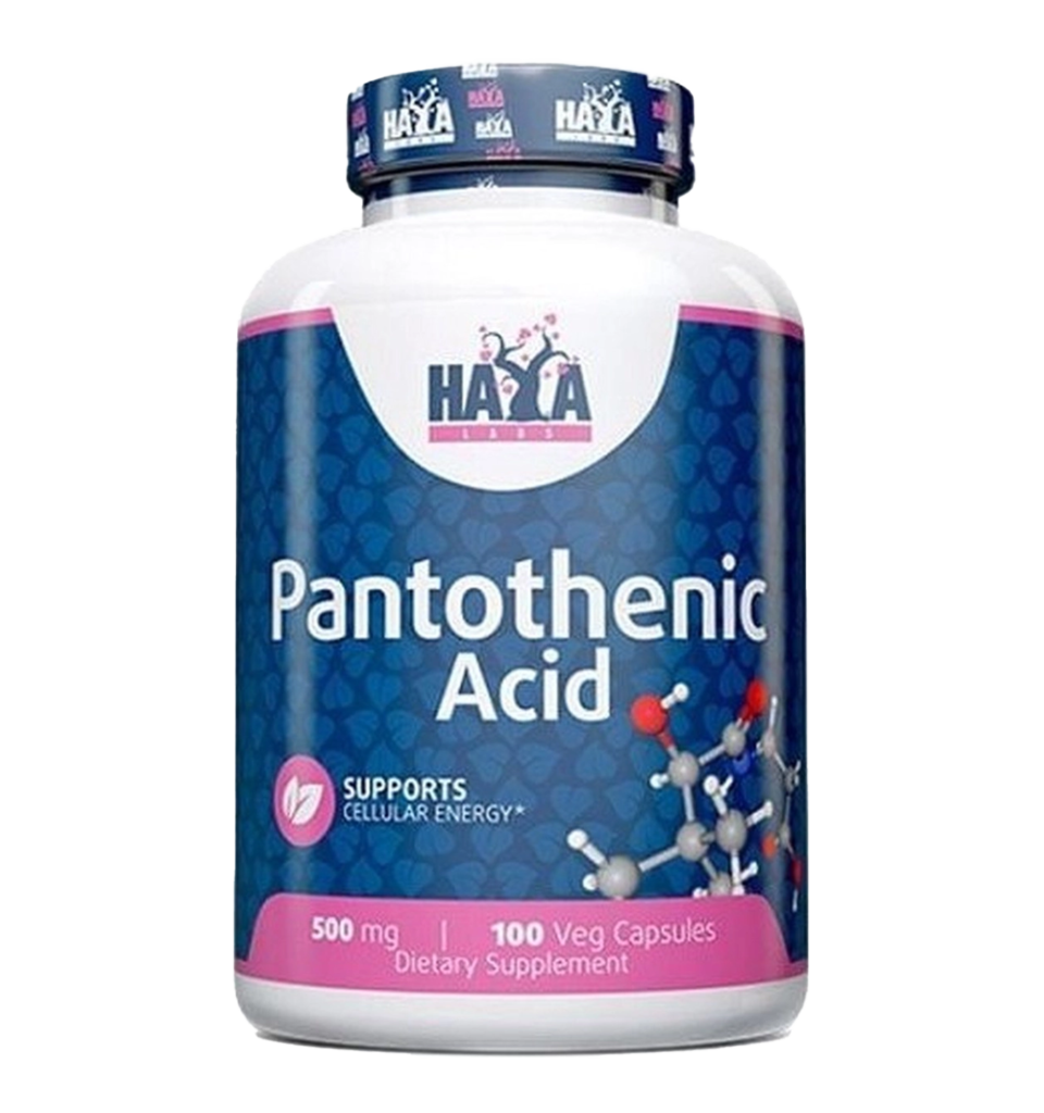 haya labs pantothenic acid 100caps