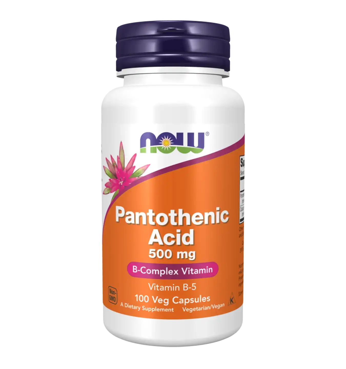 Pantothenic Acid - 100 v-caps 1 Pantothenic Acid - 100 v-caps