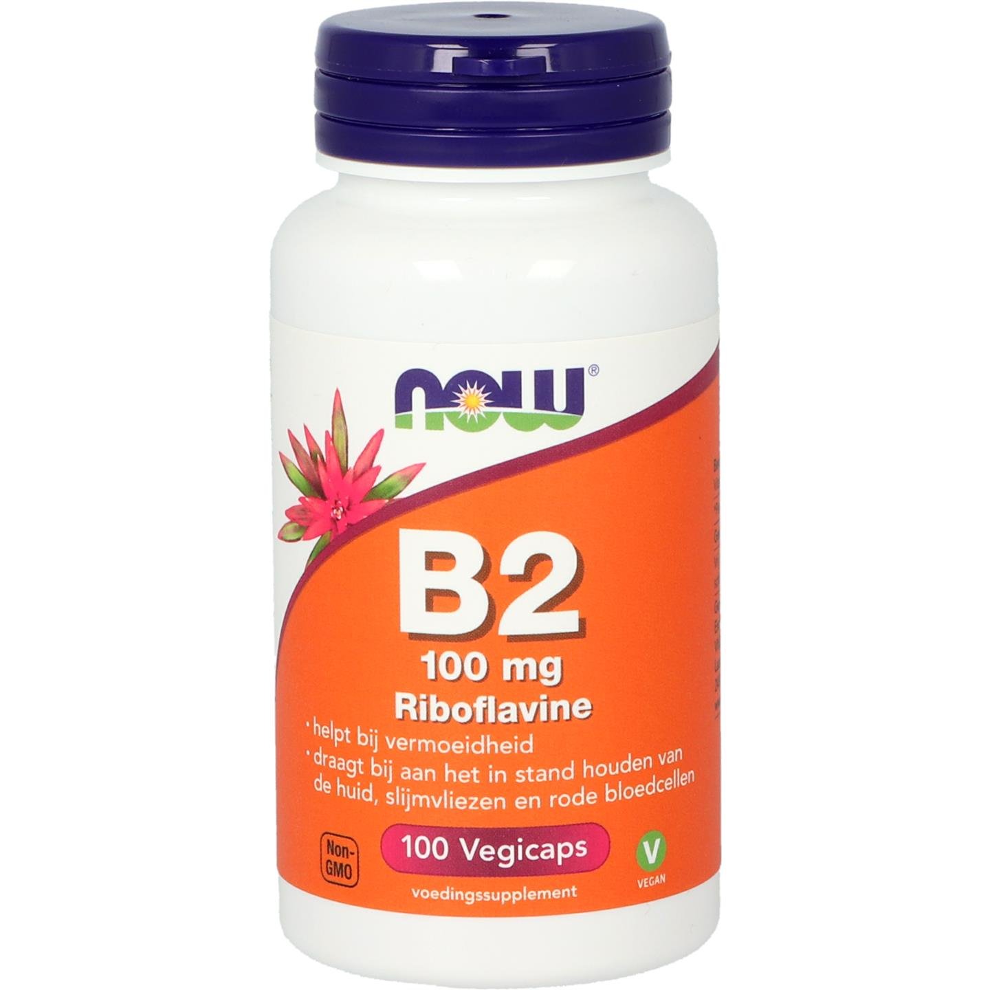 B2 100 mg 1 B2 100 mg