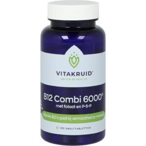 B12 Combi 6000