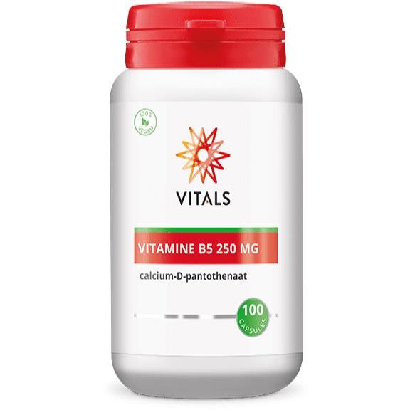Vitamine B5 250 mg 1 Vitamine B5 250 mg