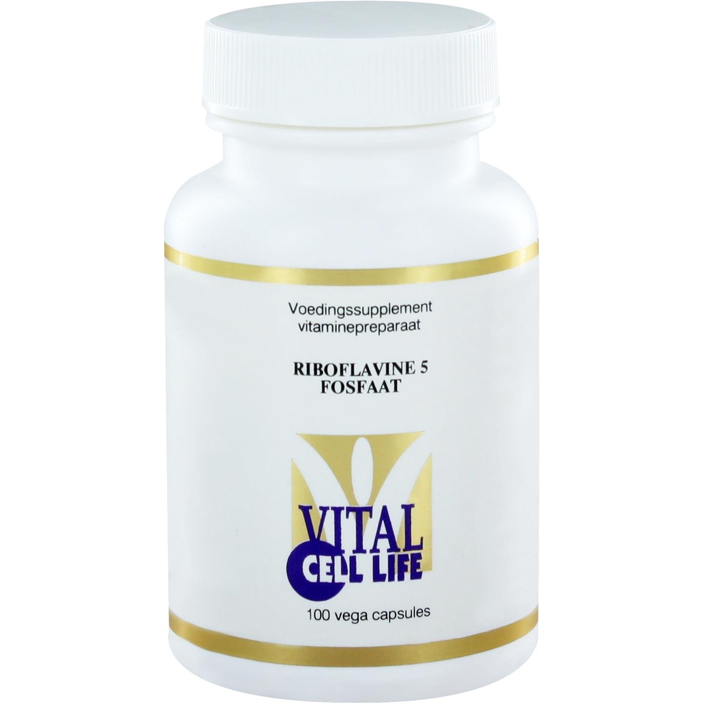 Riboflavine 5 fosfaat 1 Riboflavine 5 fosfaat