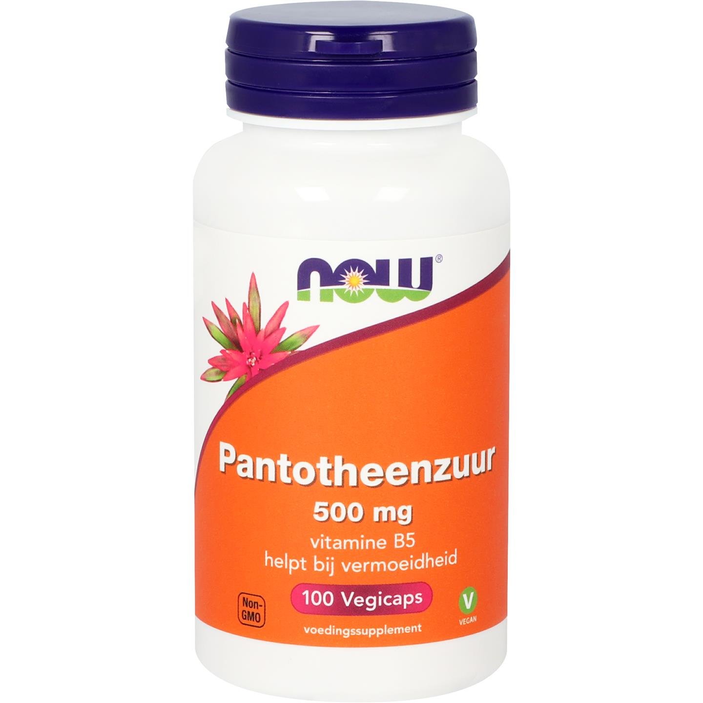 Pantotheenzuur 500 mg 1 Pantotheenzuur 500 mg