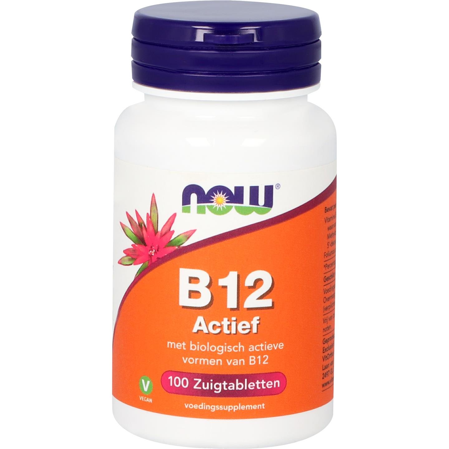 B12 Actief 1 B12 Actief